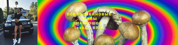 первитин Арсеньев
